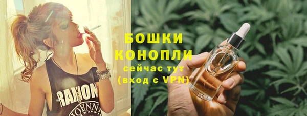 гашик Касимов