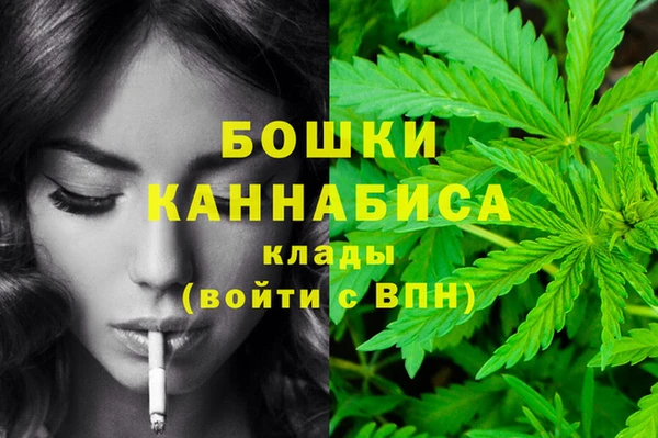 PSILOCYBIN Каменск-Шахтинский
