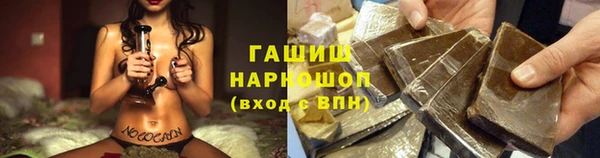 гашик Касимов