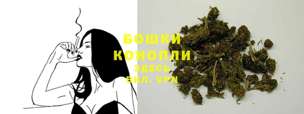 гашик Касимов