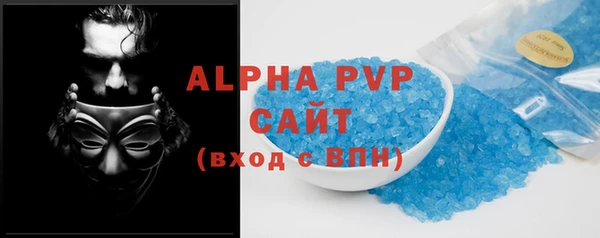 гашик Касимов